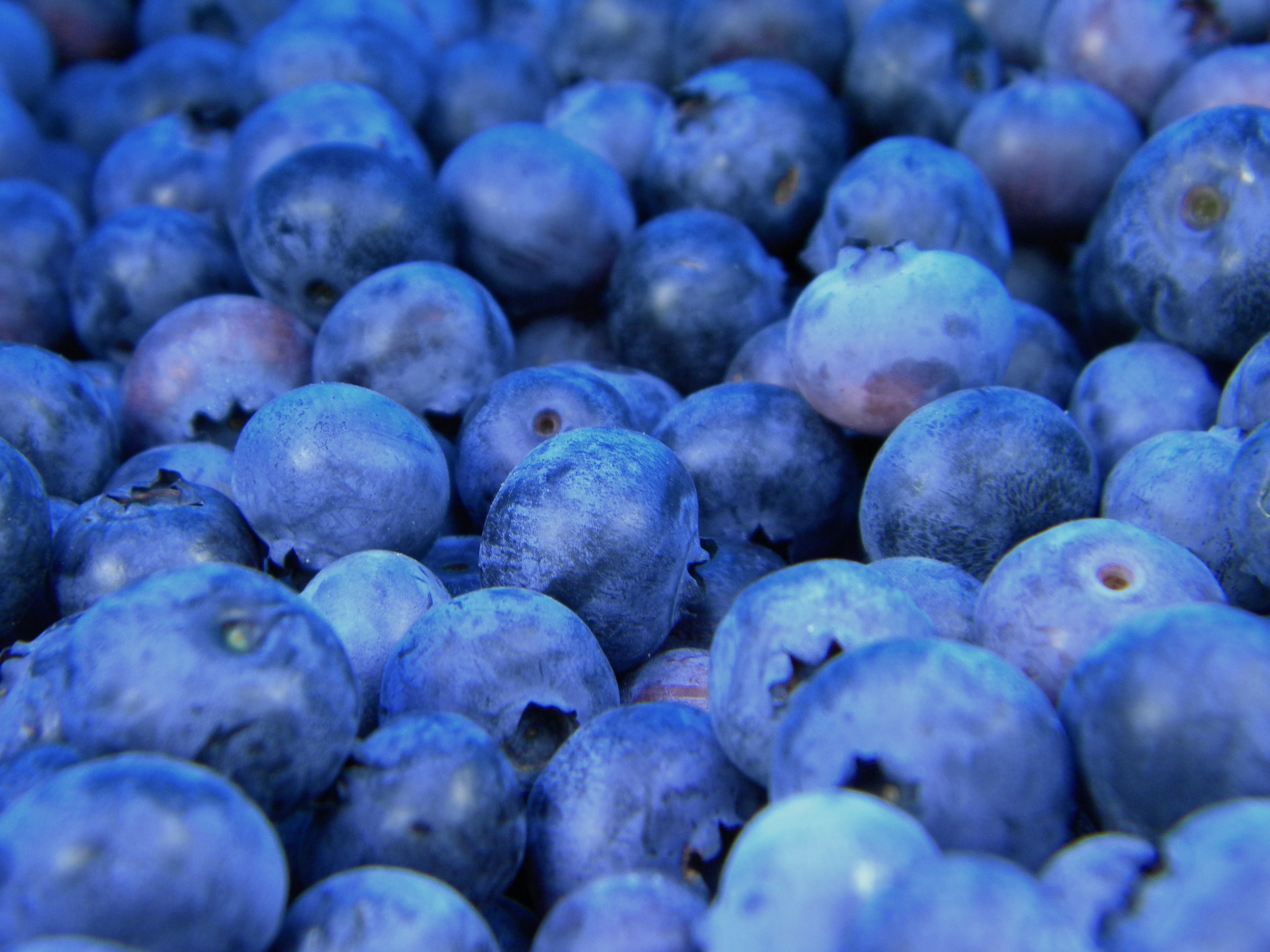 Blue Berries